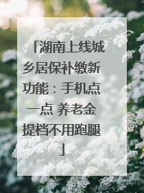 湖南上线城乡居保补缴新功能：手机点一点 养老金提档不用跑腿