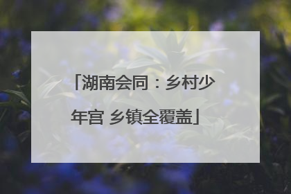 湖南会同：乡村少年宫 乡镇全覆盖