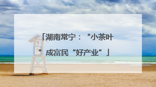 湖南常宁：“小茶叶”成富民“好产业”