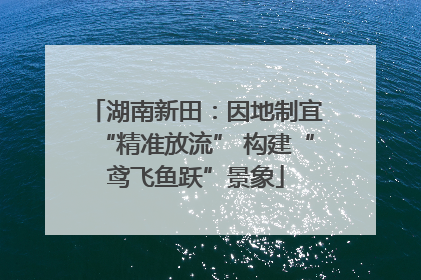 湖南新田：因地制宜“精准放流” 构建“鸢飞鱼跃”景象