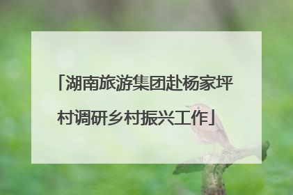 湖南旅游集团赴杨家坪村调研乡村振兴工作
