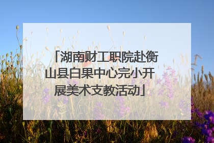 湖南财工职院赴衡山县白果中心完小开展美术支教活动