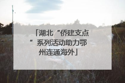 湖北“侨建支点”系列活动助力鄂州连通海外