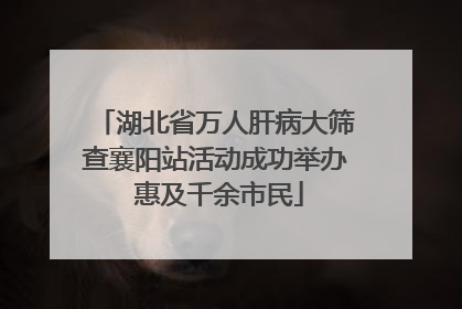 湖北省万人肝病大筛查襄阳站活动成功举办 惠及千余市民