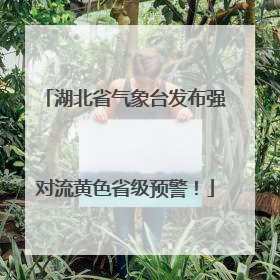 湖北省气象台发布强对流黄色省级预警！
