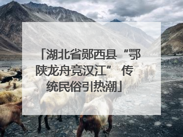 湖北省郧西县“鄂陕龙舟竞汉江” 传统民俗引热潮