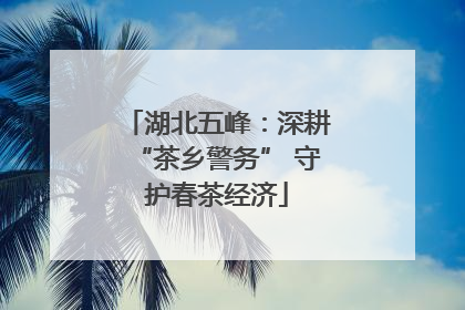 湖北五峰：深耕“茶乡警务” 守护春茶经济