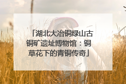 湖北大冶铜绿山古铜矿遗址博物馆：铜草花下的青铜传奇