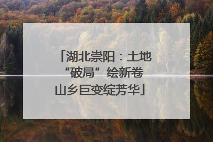 湖北崇阳：土地“破局”绘新卷 山乡巨变绽芳华