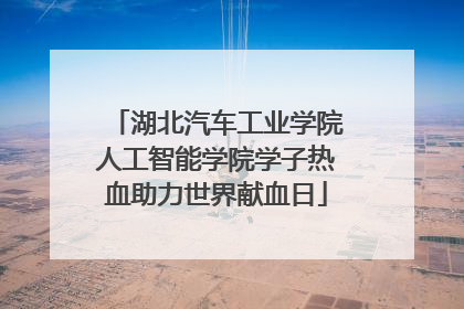 湖北汽车工业学院人工智能学院学子热血助力世界献血日