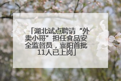 湖北试点聘请“外卖小哥”担任食品安全监督员，襄阳首批11人已上岗