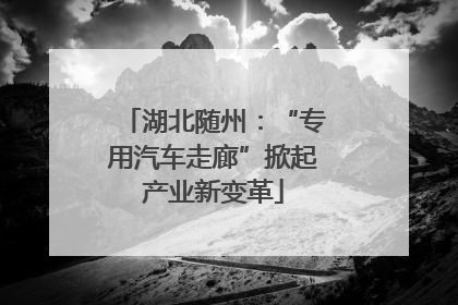 湖北随州：“专用汽车走廊”掀起产业新变革