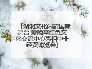 湖湘文化闪耀国际舞台 爱晚亭红色文化交流中心亮相中非经贸博览会