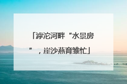 滹沱河畔“水景房”，崖沙燕育雏忙