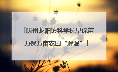 滕州龙阳镇科学抗旱保苗 力保万亩农田“解渴”