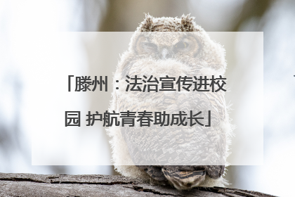 滕州：法治宣传进校园 护航青春助成长