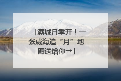 满城月季开！一张威海追“月”地图送给你→