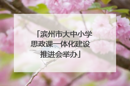 滨州市大中小学思政课一体化建设推进会举办