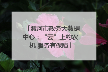 漯河市政务大数据中心：“云”上约农机 服务有保障