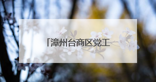 漳州台商区党工委书记为党员干部上专题党课