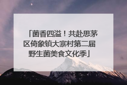 菌香四溢！共赴思茅区倚象镇大寨村第二届野生菌美食文化季