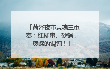 菏泽夜市灵魂三重奏：红柳串、砂锅，烫嘴的馄饨！