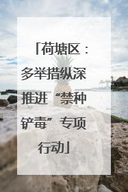 荷塘区：多举措纵深推进“禁种铲毒”专项行动