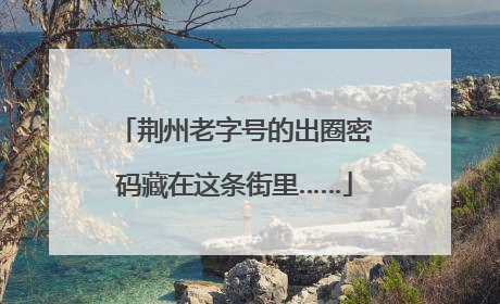 荆州老字号的出圈密码藏在这条街里……
