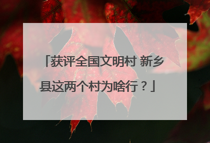 获评全国文明村 新乡县这两个村为啥行？