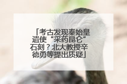 考古发现秦始皇遣使“采药昆仑”石刻？北大教授辛德勇等提出质疑