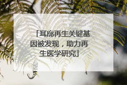 耳廓再生关键基因被发现，助力再生医学研究