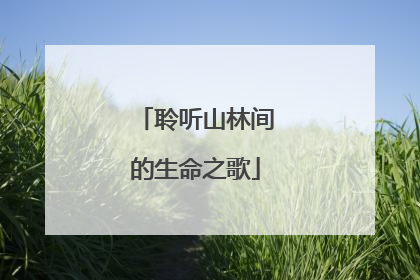 聆听山林间的生命之歌