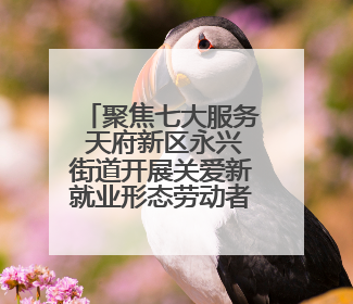 聚焦七大服务 天府新区永兴街道开展关爱新就业形态劳动者活动