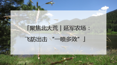 聚焦北大荒｜延军农场：飞防出击 “一喷多效”