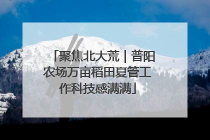 聚焦北大荒｜普阳农场万亩稻田夏管工作科技感满满