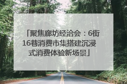 聚焦廊坊经洽会：6街16巷消费市集搭建沉浸式消费体验新场景