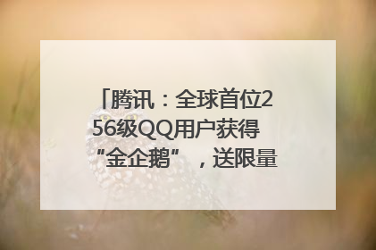 腾讯：全球首位256级QQ用户获得“金企鹅”，送限量版神秘惊喜等礼物
