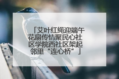 艾叶红绳迎端午花扇传情聚民心社区学院西社区架起邻里“连心桥”