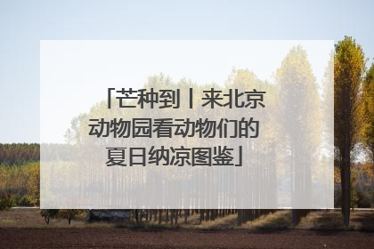 芒种到丨来北京动物园看动物们的夏日纳凉图鉴