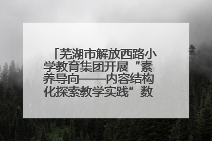 芜湖市解放西路小学教育集团开展“素养导向——内容结构化探索教学实践”数学专题研讨活动