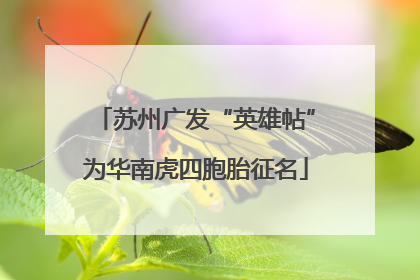苏州广发“英雄帖”为华南虎四胞胎征名