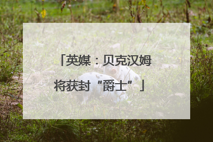 英媒：贝克汉姆将获封“爵士”