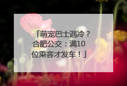 萌宠巴士遇冷？合肥公交：满10位乘客才发车！
