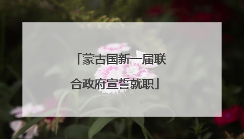 蒙古国新一届联合政府宣誓就职