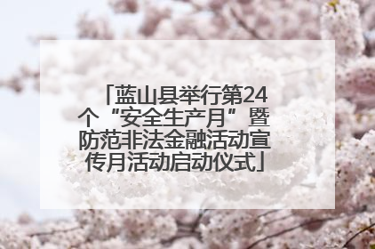 蓝山县举行第24个“安全生产月”暨防范非法金融活动宣传月活动启动仪式