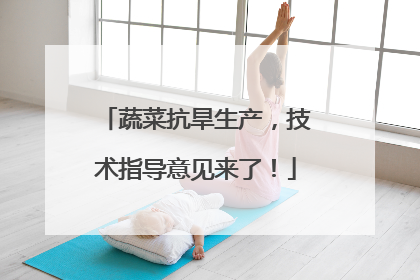 蔬菜抗旱生产，技术指导意见来了！