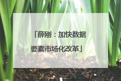 薛刚：加快数据要素市场化改革