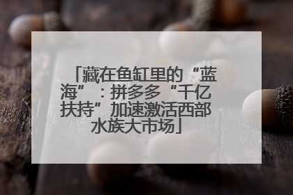藏在鱼缸里的“蓝海”：拼多多“千亿扶持”加速激活西部水族大市场