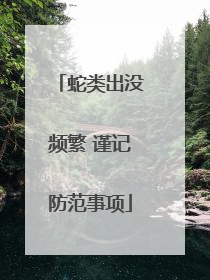 蛇类出没频繁 谨记防范事项
