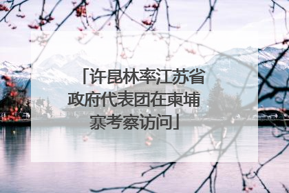 许昆林率江苏省政府代表团在柬埔寨考察访问
